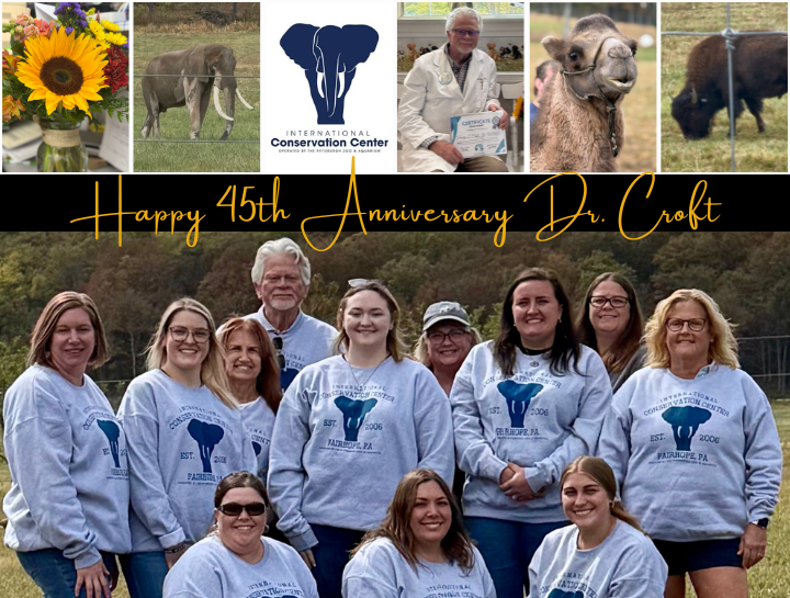 Loyalhanna Veterinary Clinic Celebrates 45 Years of Service and Leadership