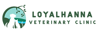 Link to Homepage of Loyalhanna Veterinary Clinic